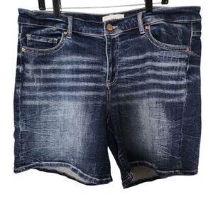 BKE Payton Slightly Distressed Shorts Size 36